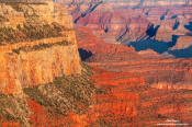 Image of Grand Canyon, Yaki Point