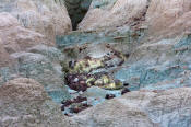 Image of Blue Basin, Sheep Rock Complex, John Day