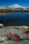 Image of Mount Baker from Blum Lakes, North Cascades