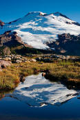 Image of Mount Baker reflection, North Cascades