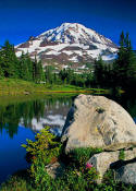 Imgae of Mount Rainier above Spray Park