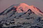 Image of Morning alpenglow on Mount Rainier