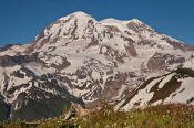 Image of Mount Rainier above Sunset Park