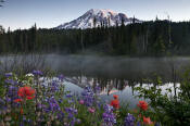 Image of Mount Rainier above Reflection Lakes and flowers