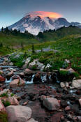 Image of Mount Rainier and lenticular cloud, Edith Creek.