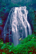 Image of Narada Falls