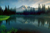 Image of Mount Rainier Reflection