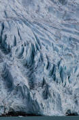 Image of the Berg Glacier above Floe Lake, Mount Robson