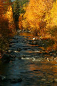 Image of Peshastin Creek in Fall