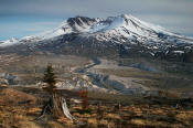 Image of Mount St. Helens, Johnstone Ridge