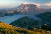 Image of Mount St. Helens from Mount Margaret, Spirit Lake