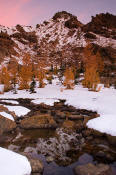 Image of Ingalls Peak reflection, Headlight Basin, Alpine Lakes