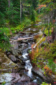 Image of Creek in Box Canyon, Alpine Lakes