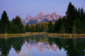 Image of Tetons reflection at Schwabacher Landing at dawn, Grand Teton National Park