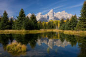 Image of Tetons reflection at Schwabacher Landing, Grand Teton National Park