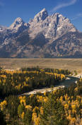 Image of Grand Teton above fall colors, Snake River Overlook, Grand Teton National Park