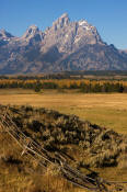 Image of Grand Teton above buck-and-rail fence, Grand Teton National Park