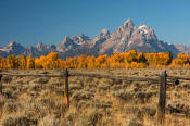 Image of Grand Teton above fence in autumn, Grand Teton National Park