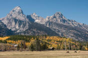 Image of Grand Teton above fall colors, Grand Teton National Park