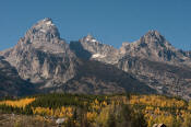 Image of Grand Teton and Cathedral Group, Grand Teton National Park