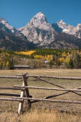 Image of Grand Teton above buch-and-rail fence, Grand Teton National Park