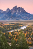 Image of Grand Teton above aspen in autumn, Snake River Overlook, Grand Teton National Park