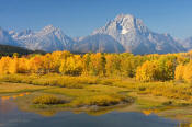 Image of Mount Moran above apen, autumn, Oxbow Bend, Grand Teton National Park