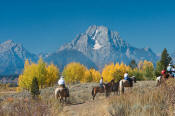 Image of horseback riders below Mount Moran in autumn, Grand Teton National Park