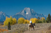 Image of horseback rider below Mount Moran in autumn, Grand Teton National Park