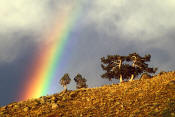 Image of rainbow above Elkhart Entrance in Wind Rivers