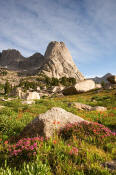 Image of Pingora Peak above heather in Cirque of the Towers, Wind Rivers