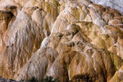 Image of Palette Spring at Mamoth Hot Springs, Yellowstone National Park.