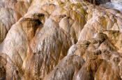 Image of Palette Spring at Mamoth Hot Springs, Yellowstone National Park.