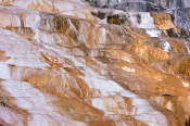 Image of Palette Springs at Mamoth Hot Springs, Yellowstone National Park.