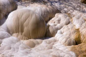 Image of Palette Spring at Mamoth Hot Springs, Yellowstone National Park.