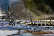 Image of boardwalk at Main Terrace, Mamoth Hot Springs, Yellowstone National Park.