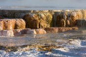 Image of Main Terrace at Mamoth Hot Springs, Yellowstone National Park.