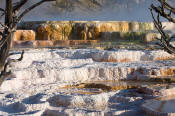 Image of Main Terrace at Mamoth Hot Springs, Yellowstone National Park.