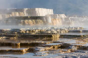 Image of Main Terrace at Mamoth Hot Springs, Yellowstone National Park.