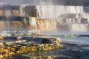 Image of Main Terrace at Mamoth Hot Springs, Yellowstone National Park.