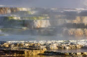 Image of Main Terrace at Mamoth Hot Springs, Yellowstone National Park.