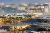 Image of Main Terrace at Mamoth Hot Springs, Yellowstone National Park.