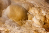 Image of Palette Spring at Mamoth Hot Springs, Yellowstone National Park