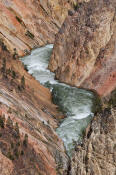 Image of Grand Canyon of the Yellowstone River, Yellowstone National Park.