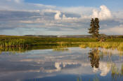 Image of Fountain Flat reflection, Yellowstone National Park.