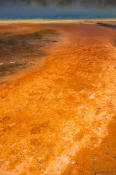 Image of Grand Prismatic Spring, Yellowstone National park.