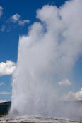 Image of Old Faithful erupting, Yellowstone National Park.