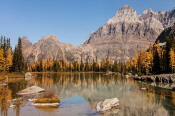 Image of Mount Huber reflection, Opabin Plateau