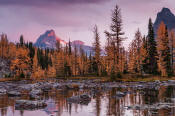 Image of Opabin Fall Reflection